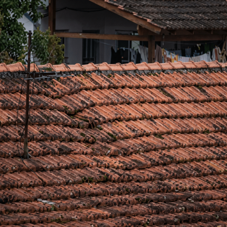 Weathered terracotta roof tiles with a dark vent pipe, secondary roof structure with laundry hanging in the background.