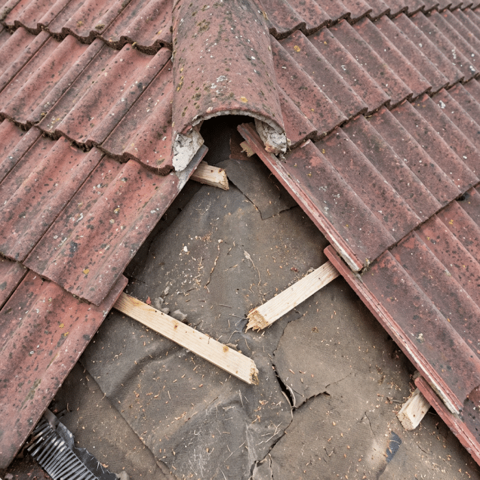 Damaged roof section with broken wooden battens, torn dark underlayment, weathered terracotta tiles, and black plastic mesh visible in corner.